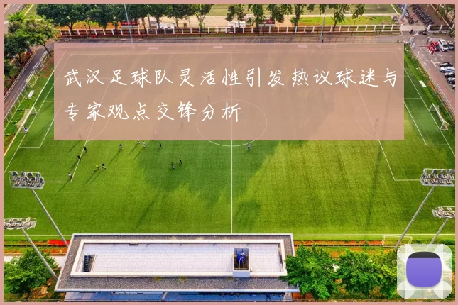武汉足球队灵活性引发热议球迷与专家观点交锋分析