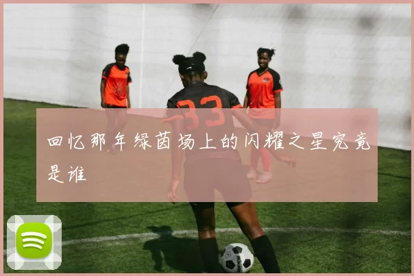 回忆那年绿茵场上的闪耀之星究竟是谁