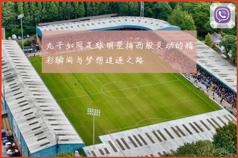 丸子如同足球明星梅西般灵动的精彩瞬间与梦想追逐之路