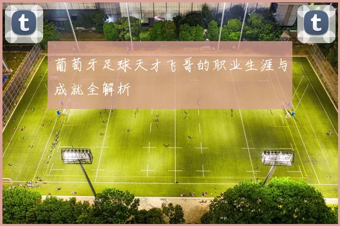 葡萄牙足球天才飞哥的职业生涯与成就全解析