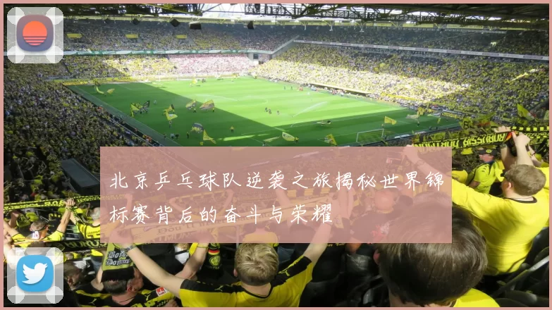 北京乒乓球队逆袭之旅揭秘世界锦标赛背后的奋斗与荣耀
