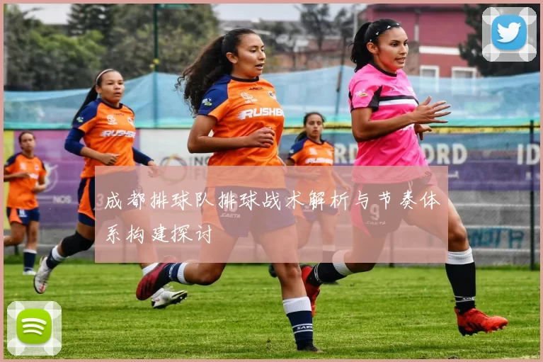 成都排球队排球战术解析与节奏体系构建探讨