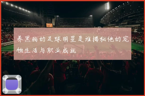 养黑狗的足球明星是谁揭秘他的宠物生活与职业成就