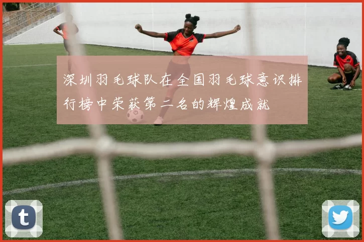 深圳羽毛球队在全国羽毛球意识排行榜中荣获第二名的辉煌成就