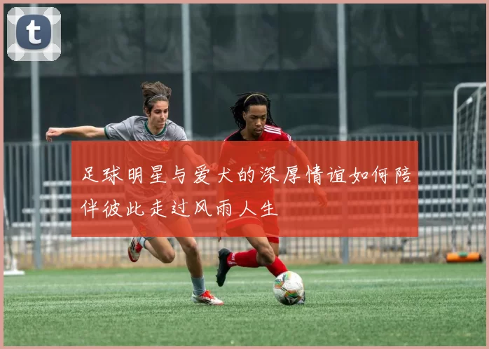 足球明星与爱犬的深厚情谊如何陪伴彼此走过风雨人生
