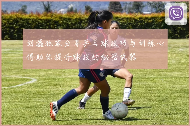 刘磊独家分享乒乓球技巧与训练心得助你提升球技的秘密武器