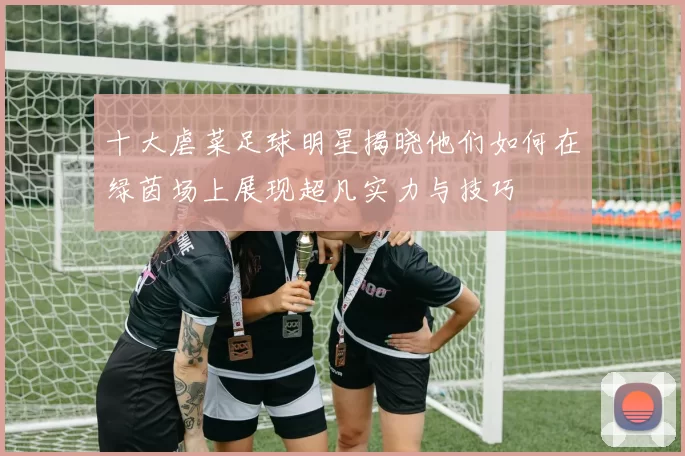 十大虐菜足球明星揭晓他们如何在绿茵场上展现超凡实力与技巧
