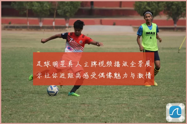 足球明星真人立牌视频播放全景展示让你近距离感受偶像魅力与激情瞬间