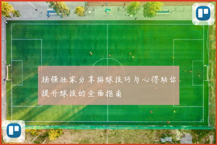 杨强独家分享排球技巧与心得助你提升球技的全面指南