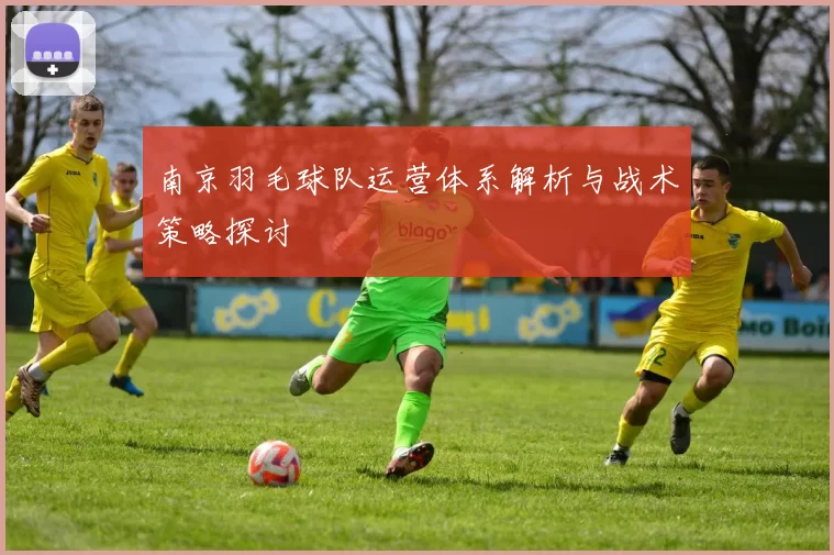 南京羽毛球队运营体系解析与战术策略探讨